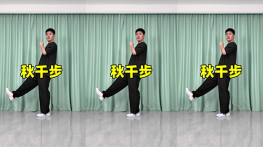 秋千步-曳步舞动作合集（横屏）
