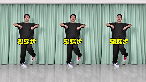 蝴蝶步-曳步舞动作合集（横屏）