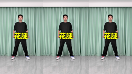 花腿-曳步舞动作合集（横屏）