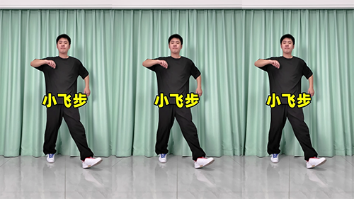 小飞步-曳步舞动作合集（横屏）