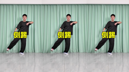 侧踢-曳步舞动作合集（横屏）